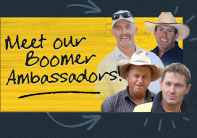 Get a FREE sample of Boomer